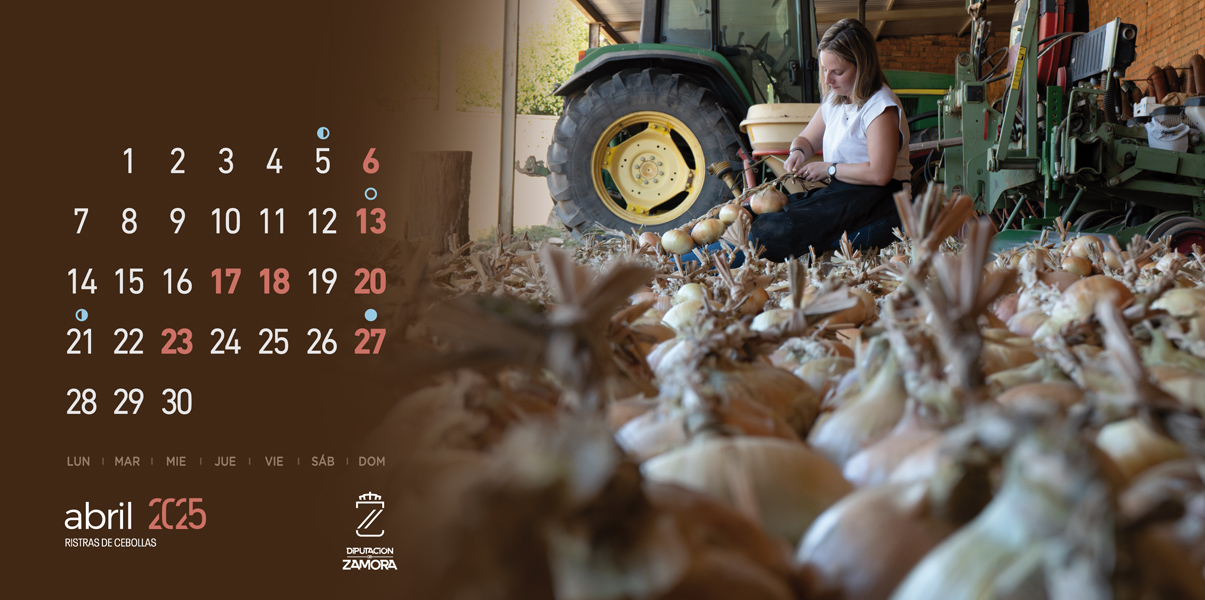 Calendario