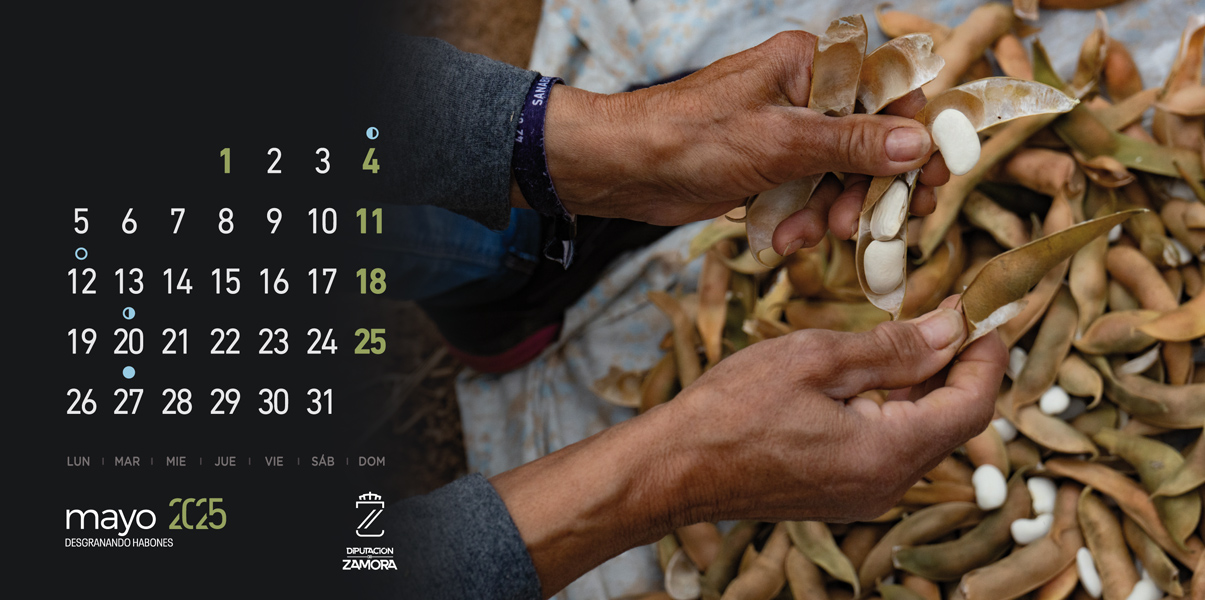 Calendario