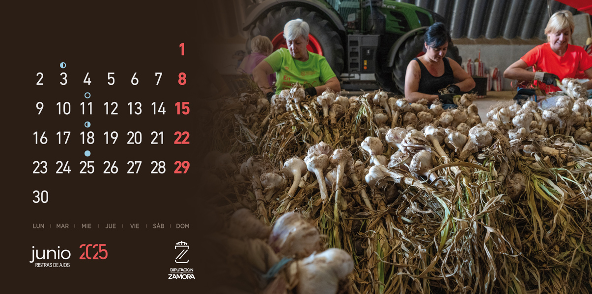 Calendario