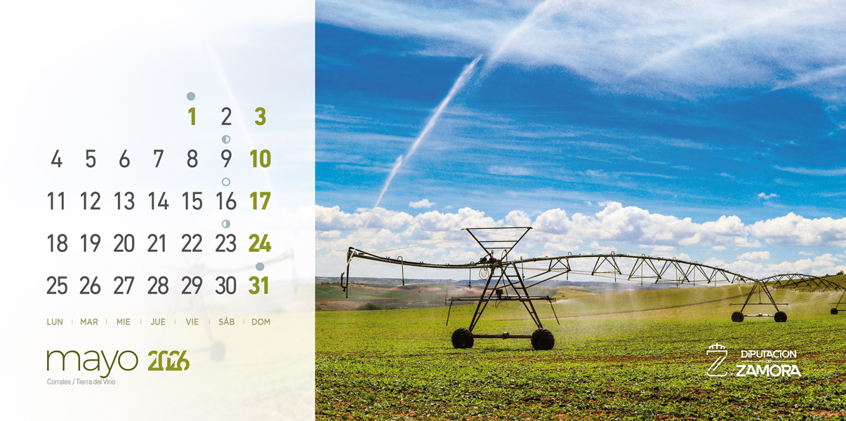 Calendario