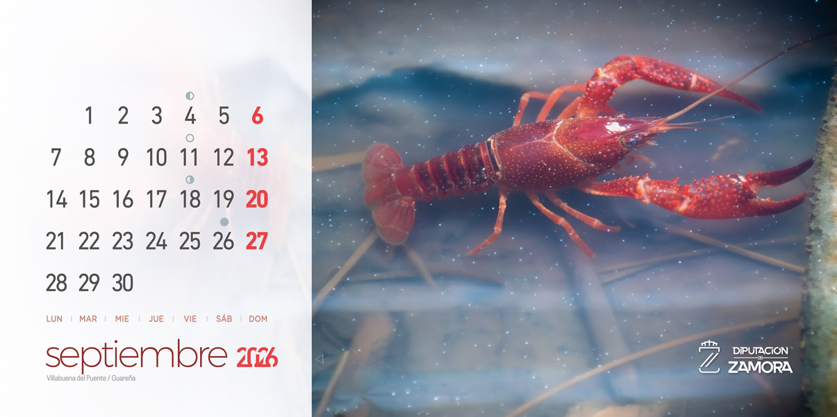 Calendario