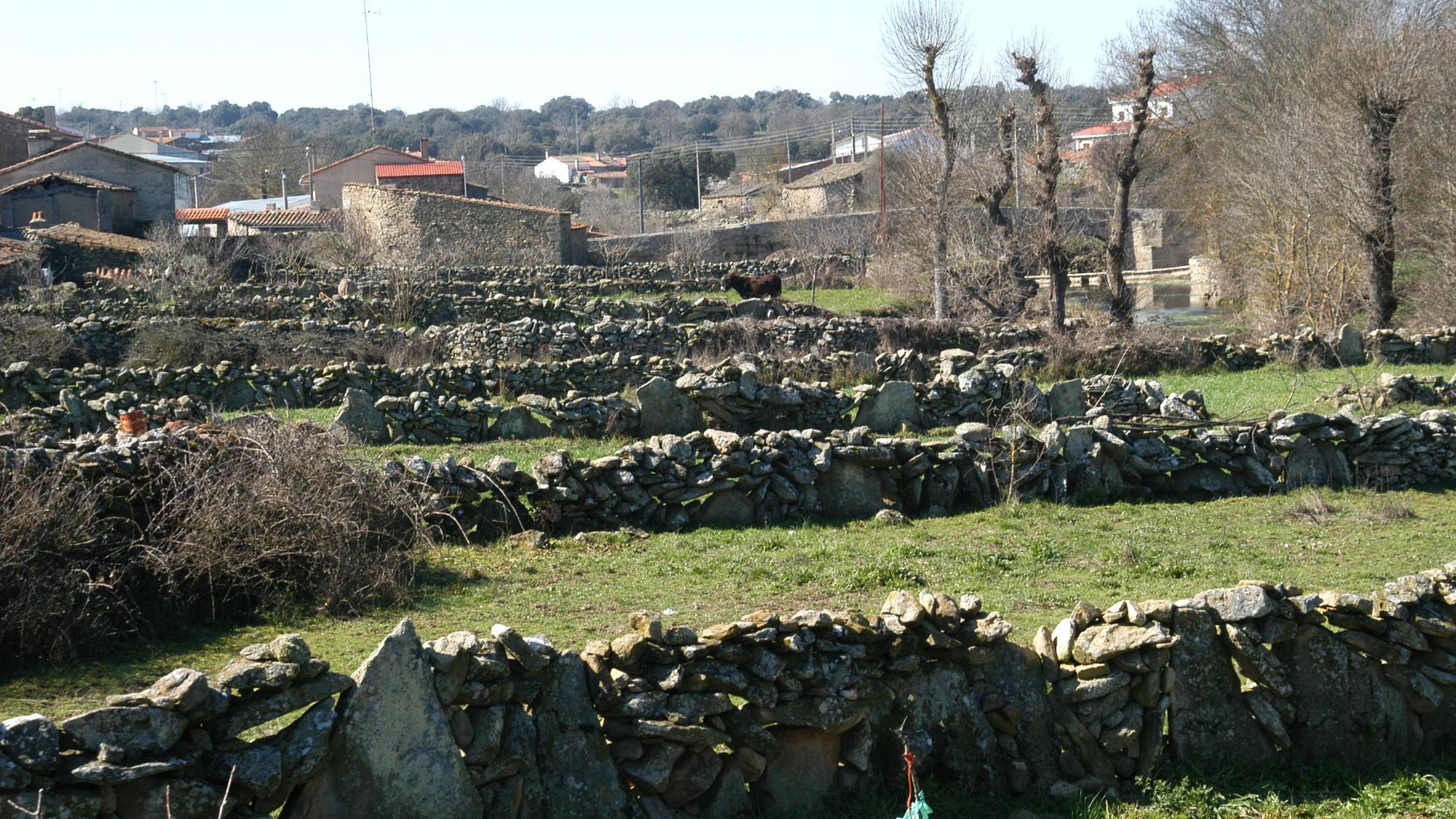 Fariza