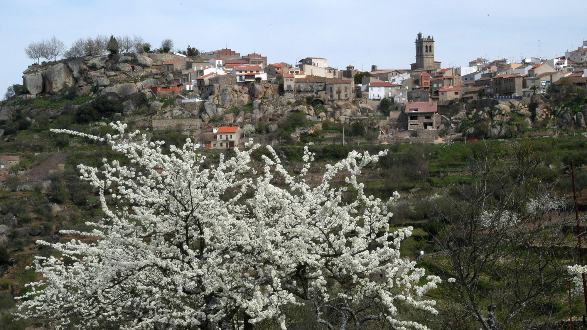 Fermoselle