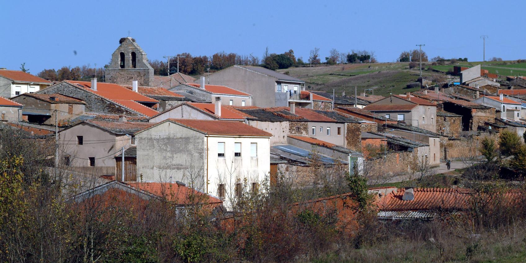 Losacino