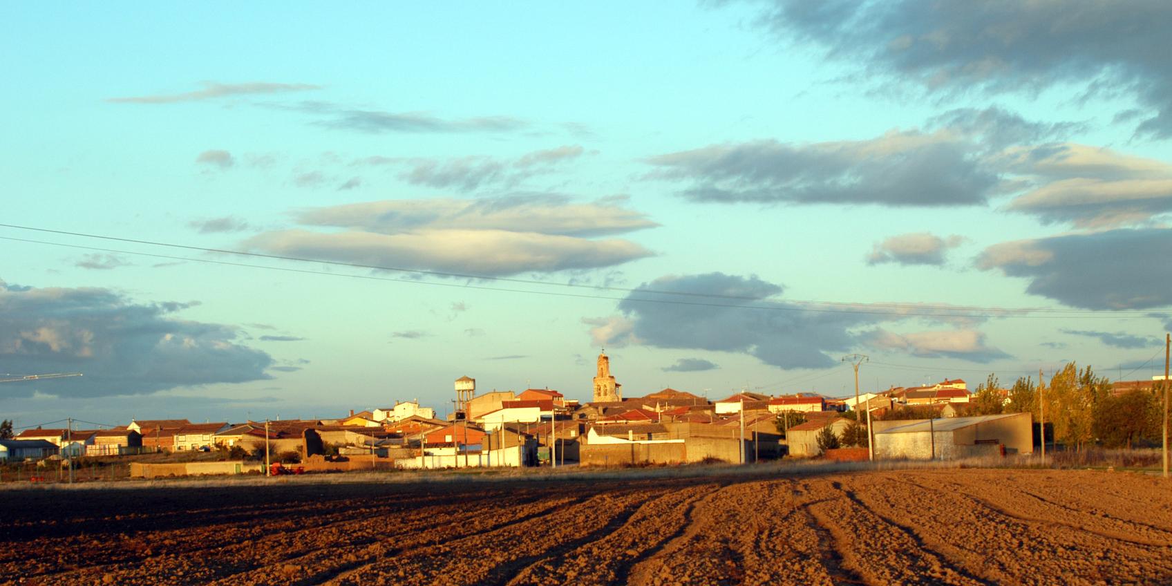 Manganeses Lampreana