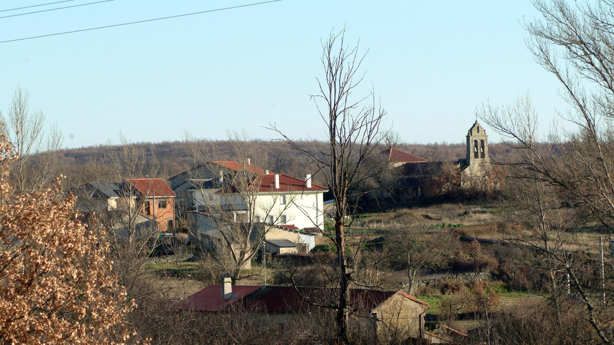 Manzanal de los Infantes