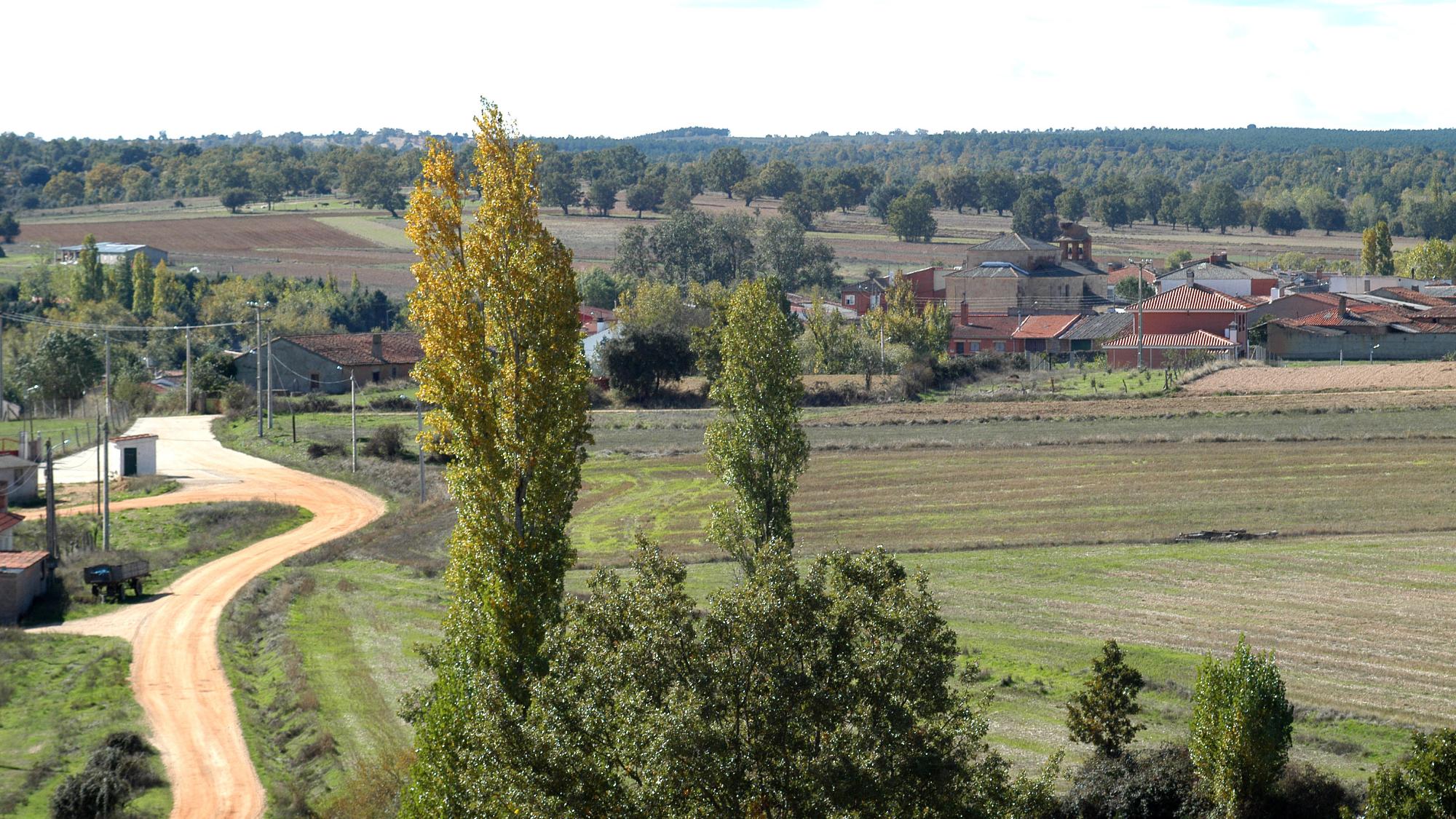 Mayalde