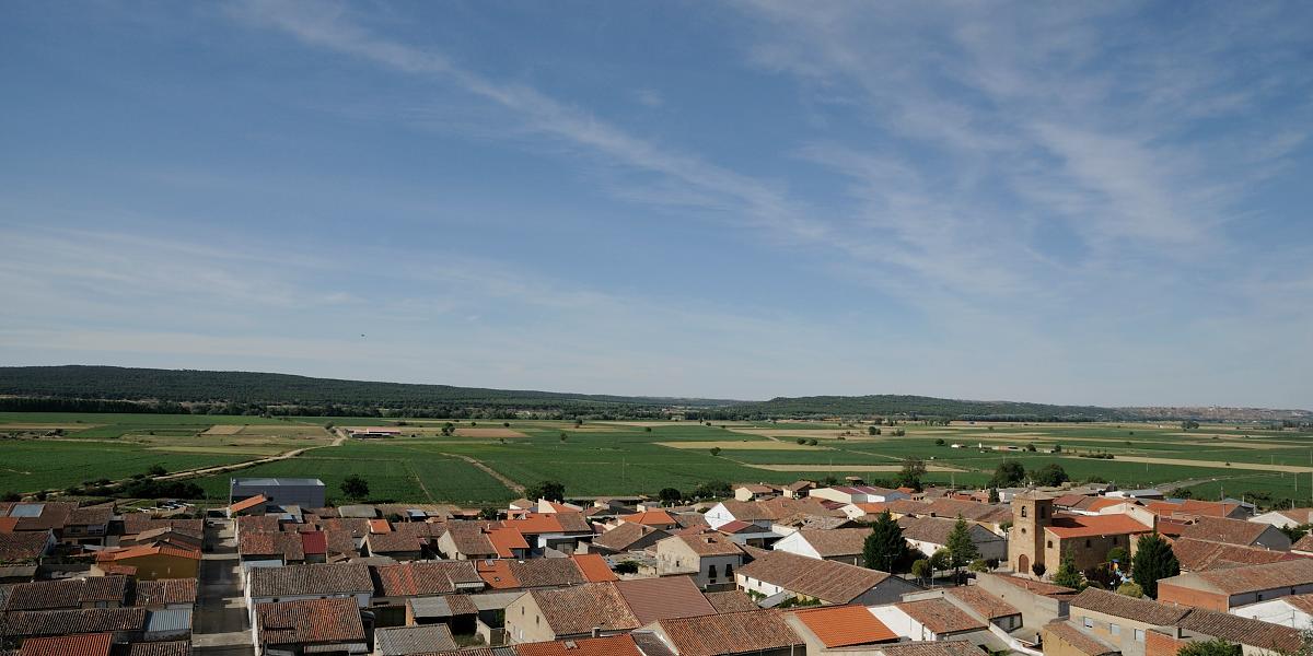 Peleagonzalo