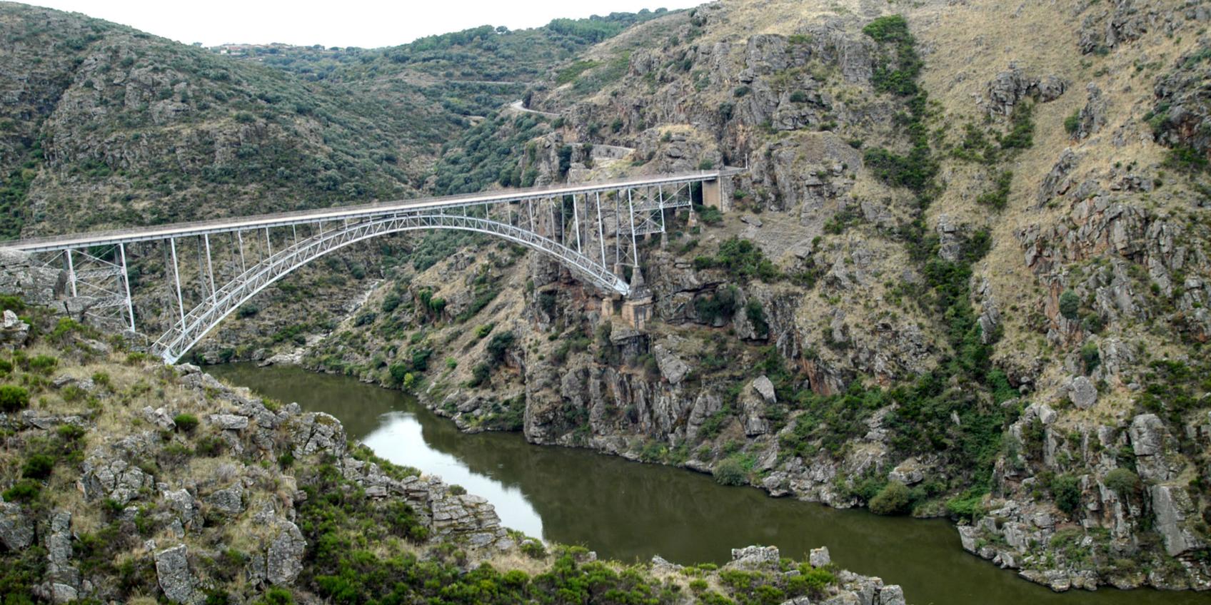 Pino del Oro