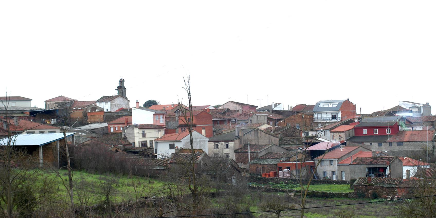 Videmala