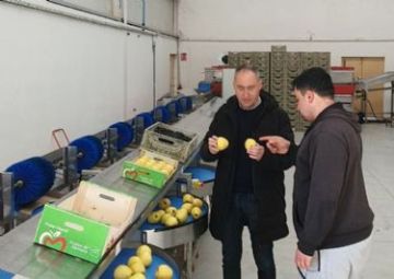 La Diputación destina más de medio millón de euros a ayudas a microempresas de la provincia