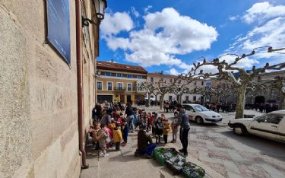 El Área de Agricultura de la Diputación repartirá plantas de nogal y arce blanco con motivo del día forestal mundial