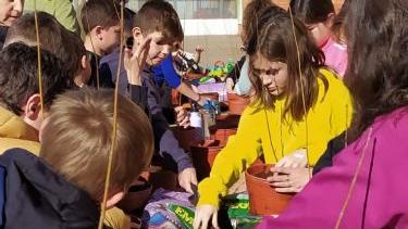 Escolares de Moraleja del Vino participan en las actividades organizadas por la Diputación con motivo del Día Forestal Mundial