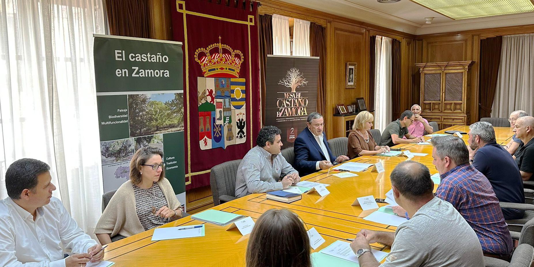 Programa de Promoción de la Castañicultura en la provincia