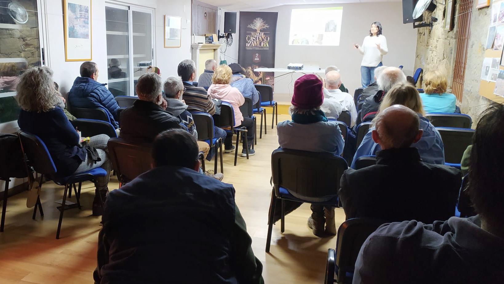 Jornadas Mesa del Castaño