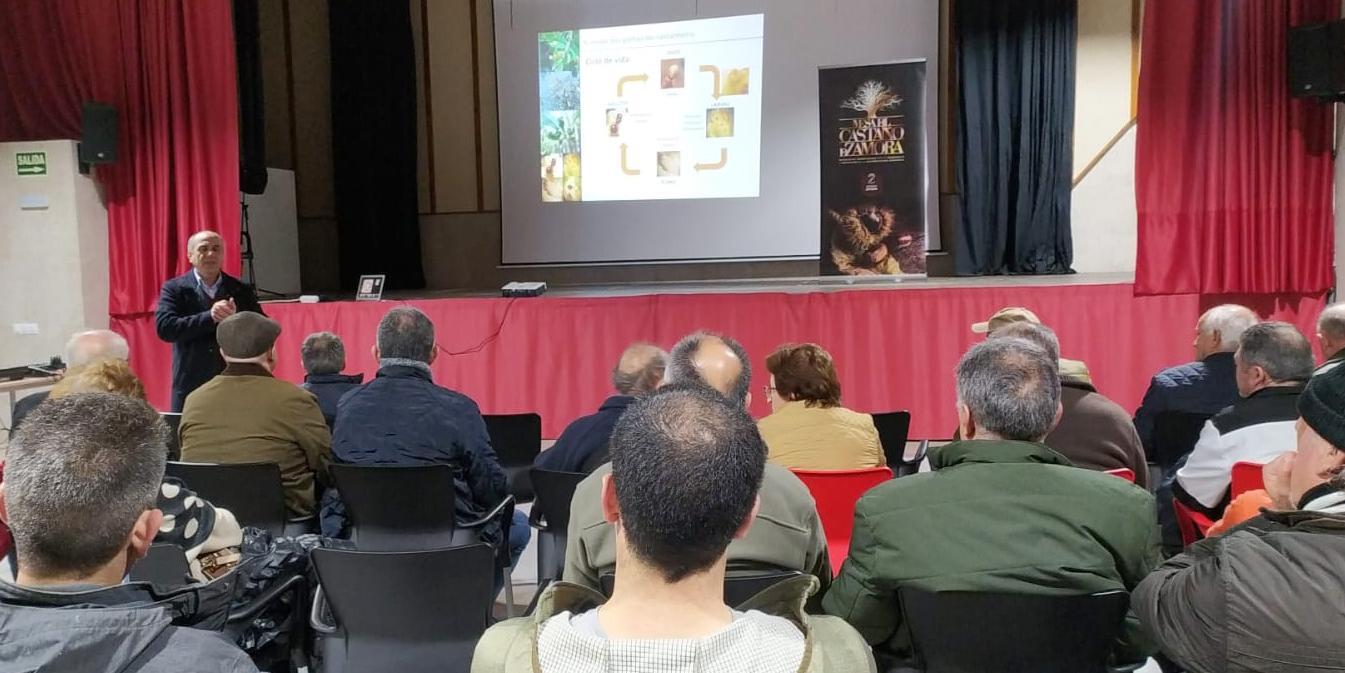 Mesa del Castano en Trabazos y Alcañices