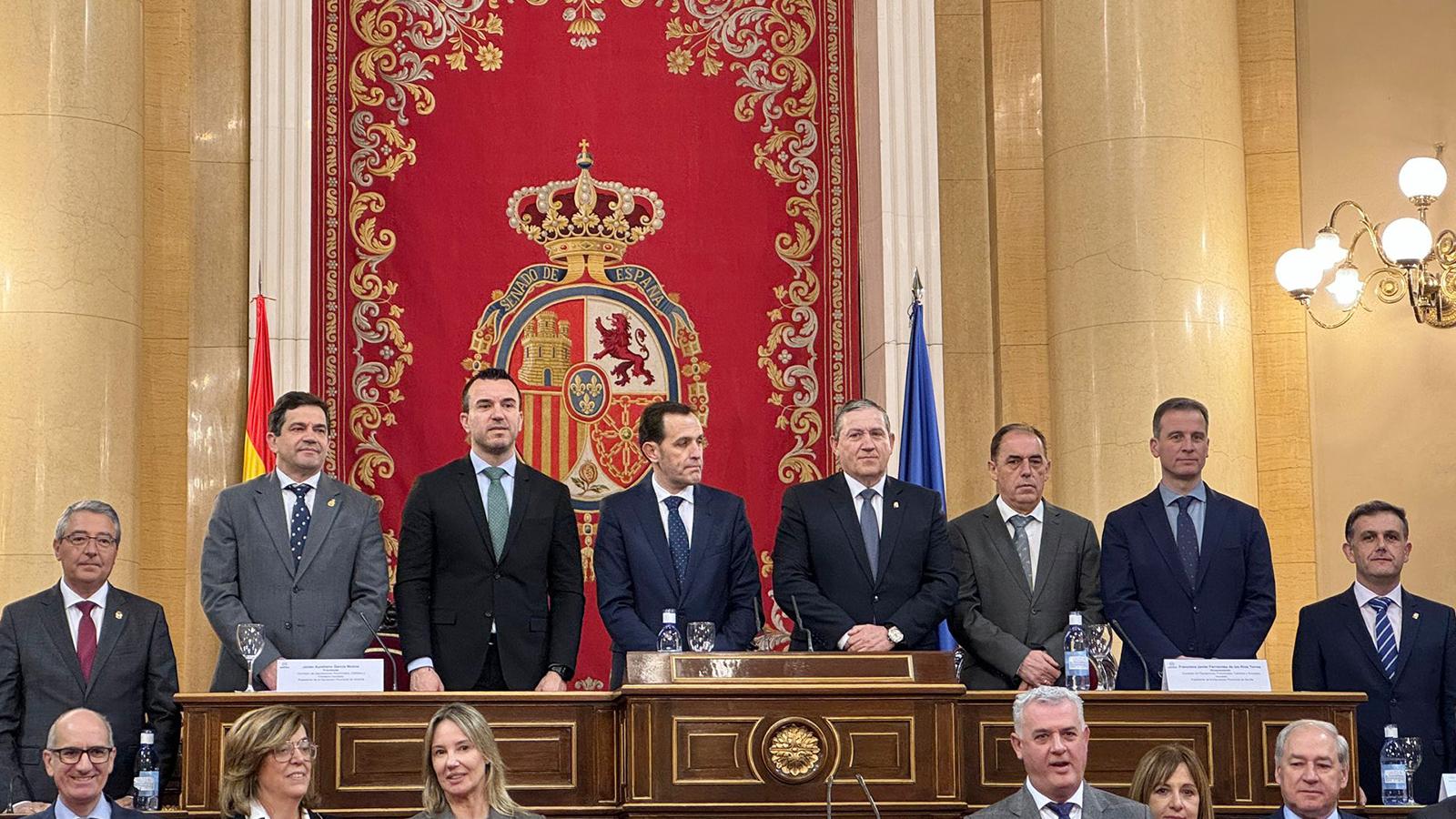 Comisión Diputaciones FEMP
