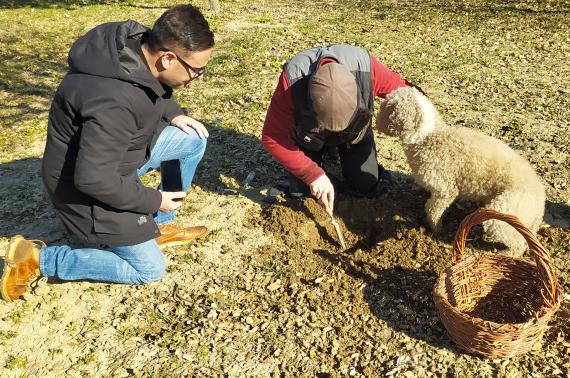 Nueva parcela experimental en Argujillo