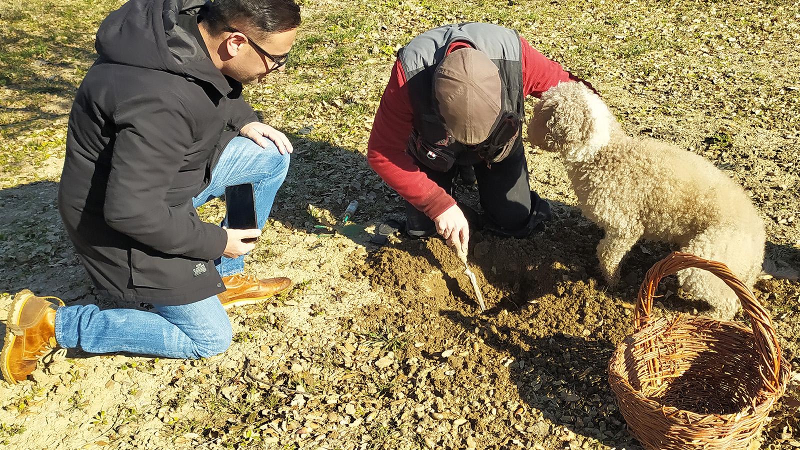 Cosecha de trufa del Vivero Provincial