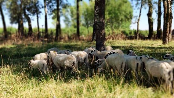 Convenios para apoyar al sector en agropecuario en la provincia