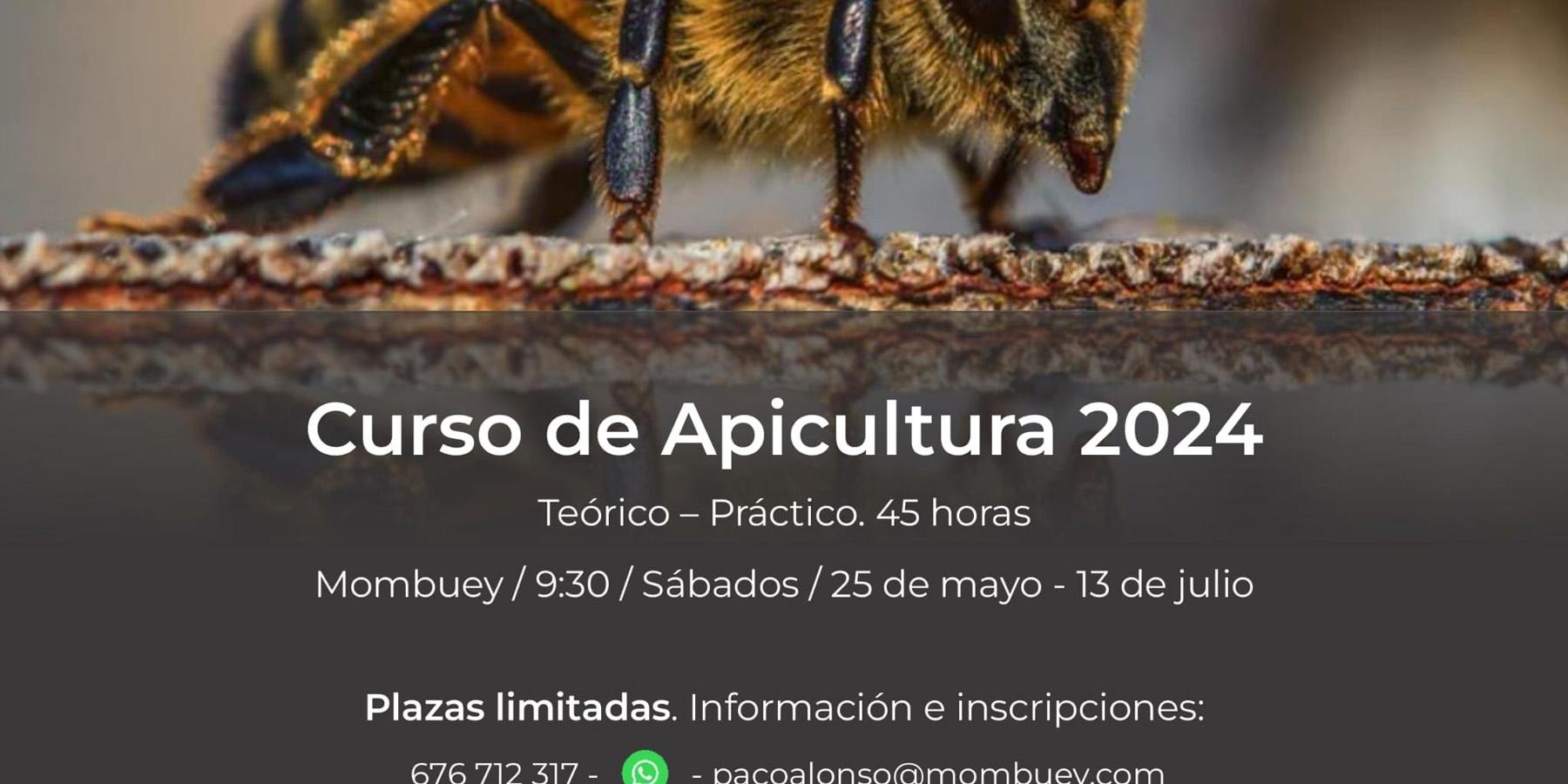 Curso de Apicultura 2024