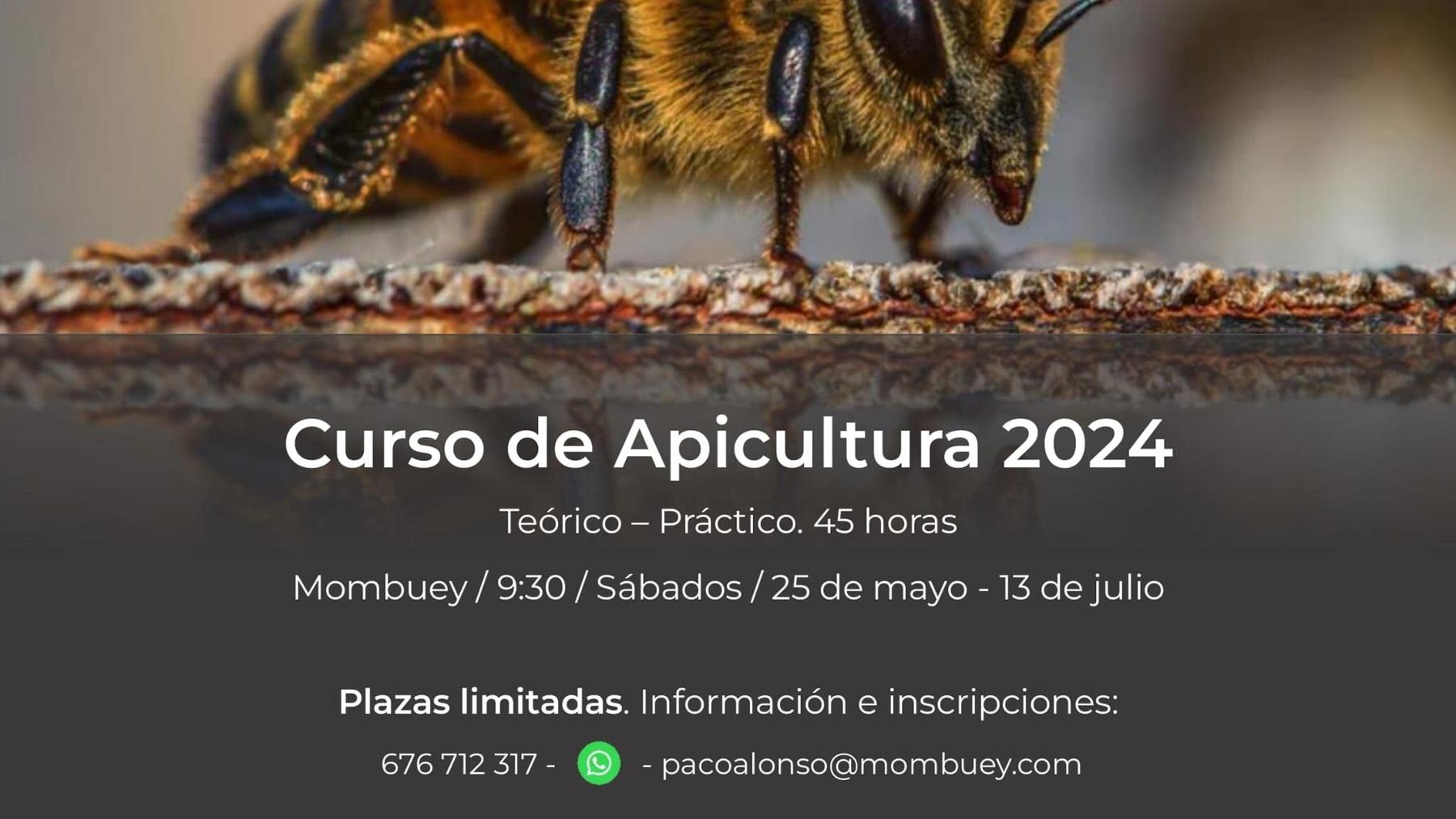 Curso de Apicultura 2024