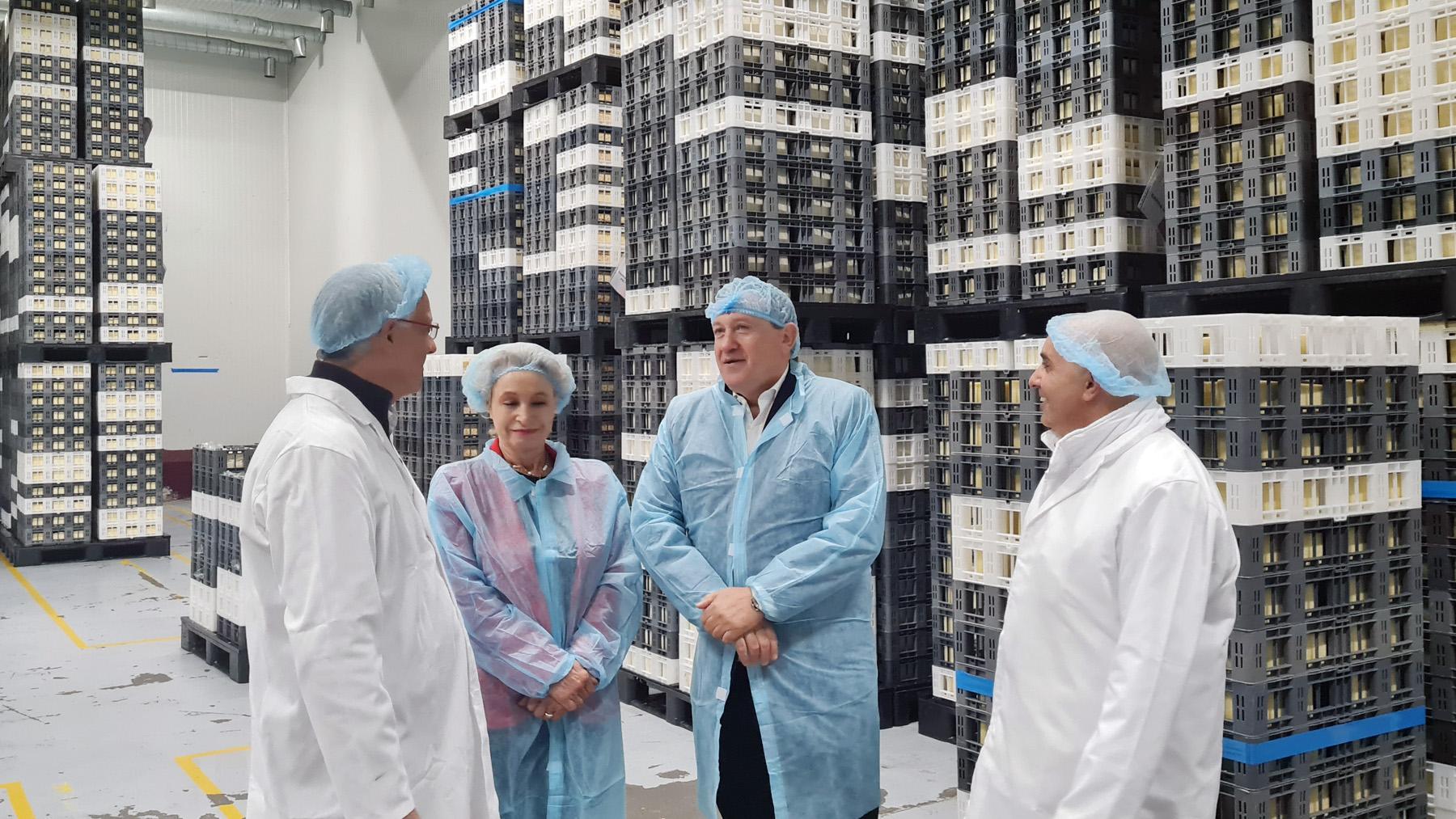 Visita Quesos El Pastor3
