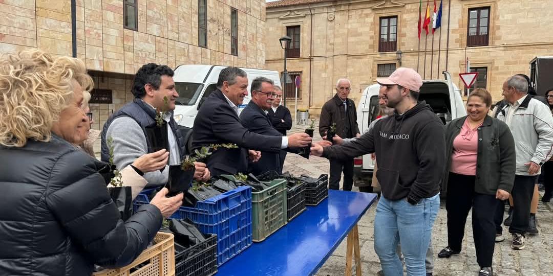 Reparto de plantones de 2024