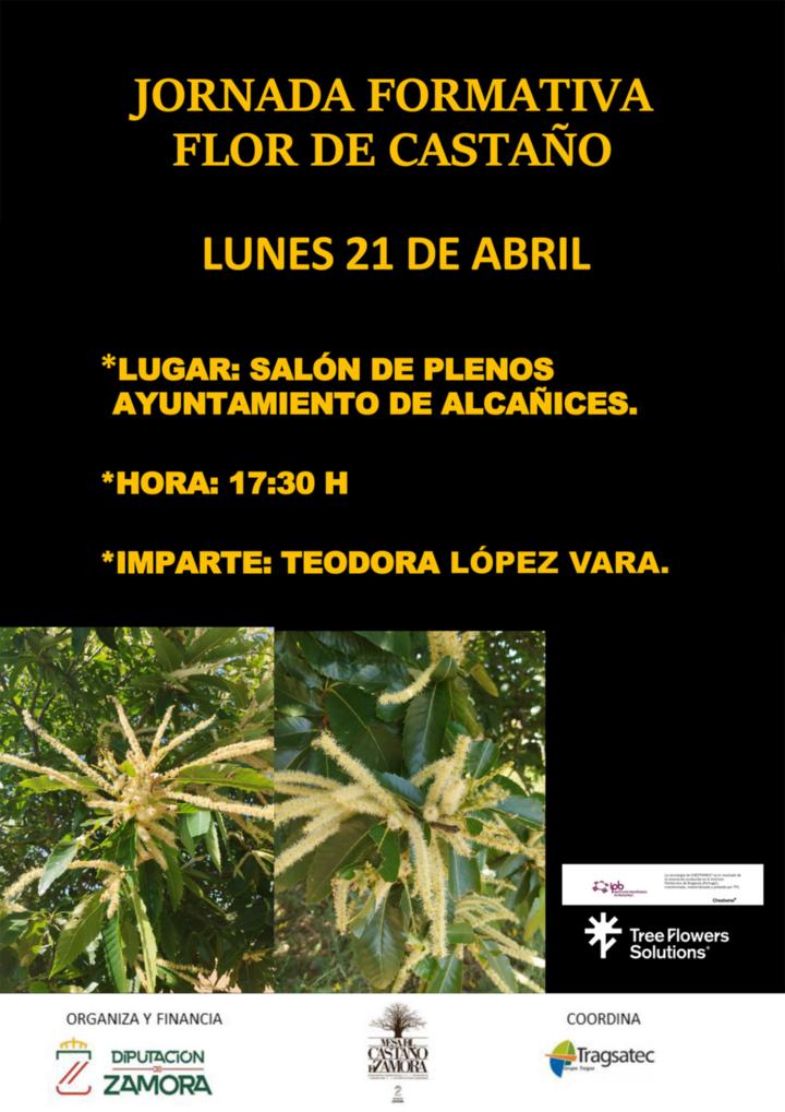 Cartel-Jornada Flor del Castaño