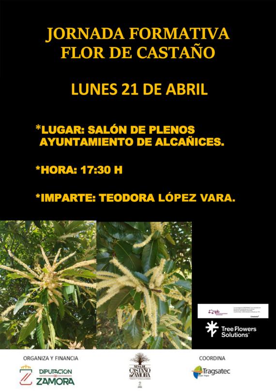Cartel-Jornada Flor del Castaño