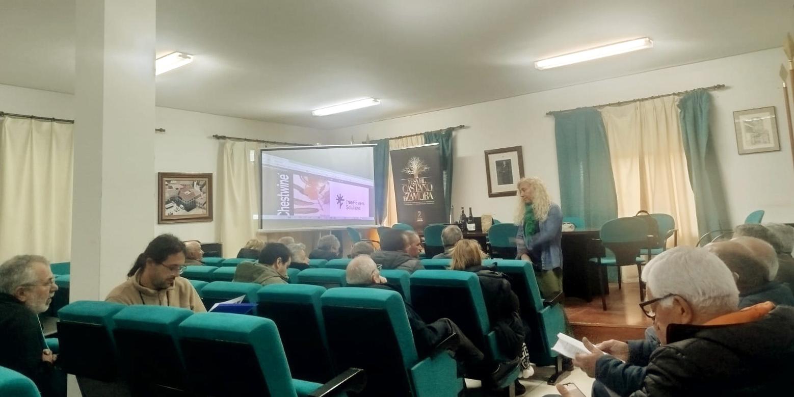 Jornada Flor del Castaño como oportunidad de negocio