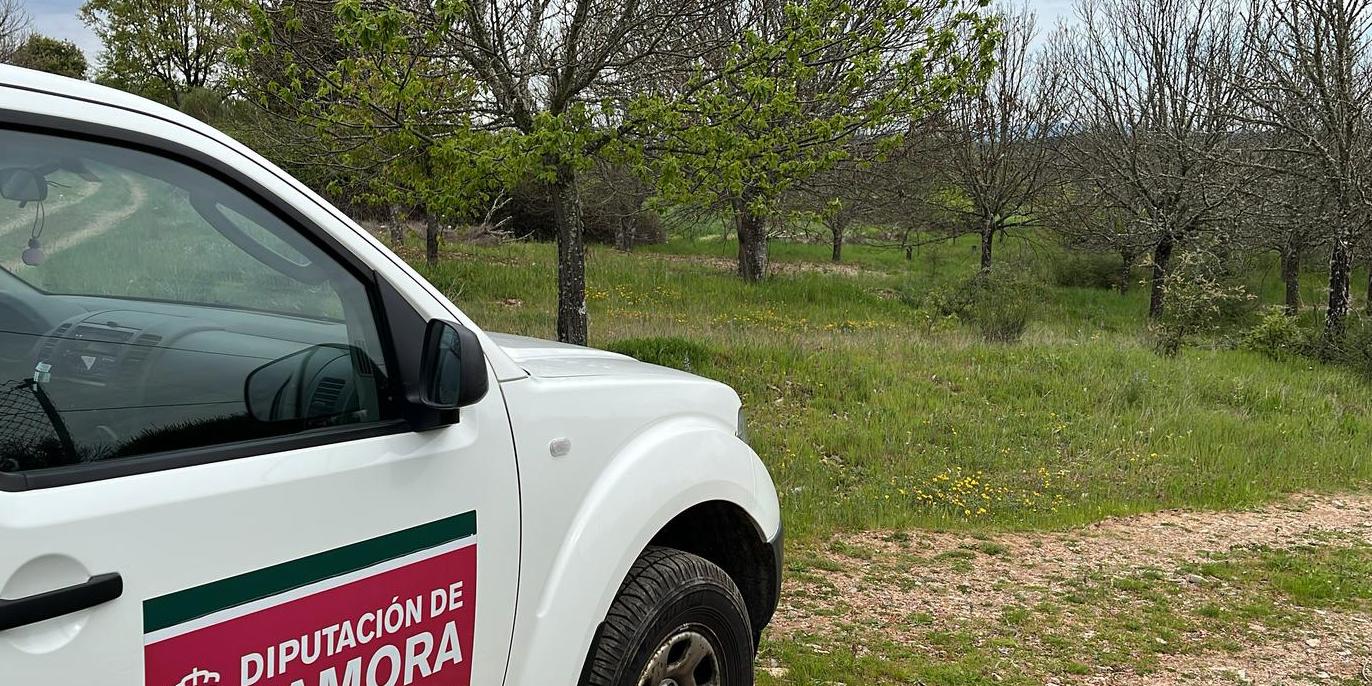 El primer tratamiento se ha realizado hoy y el segundo se hará en mayo.