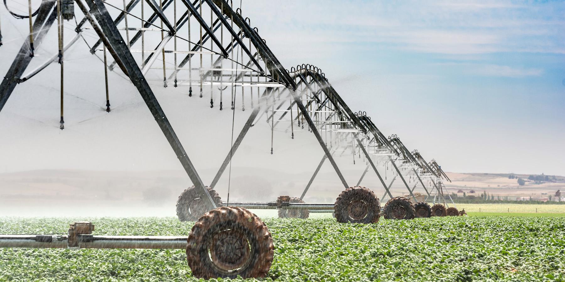 8 líneas de subvenciones a través del Servicio de Agricultura y Ganadería