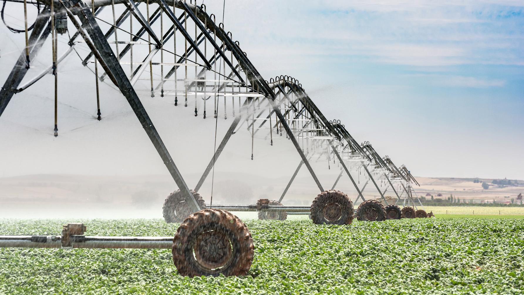 SUBVENCIONES AGRICULTURA Y GANADERÍA