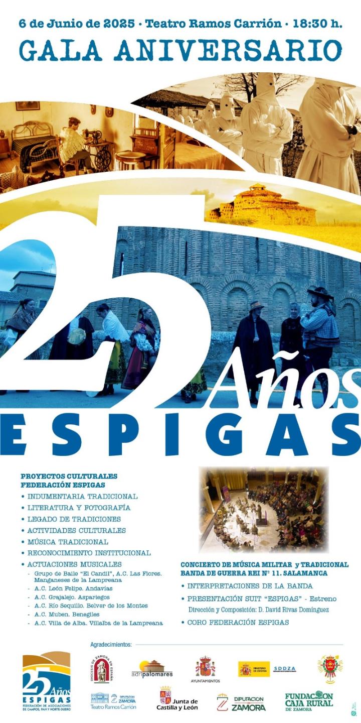 Cartel de la Gala 25 Aniversario