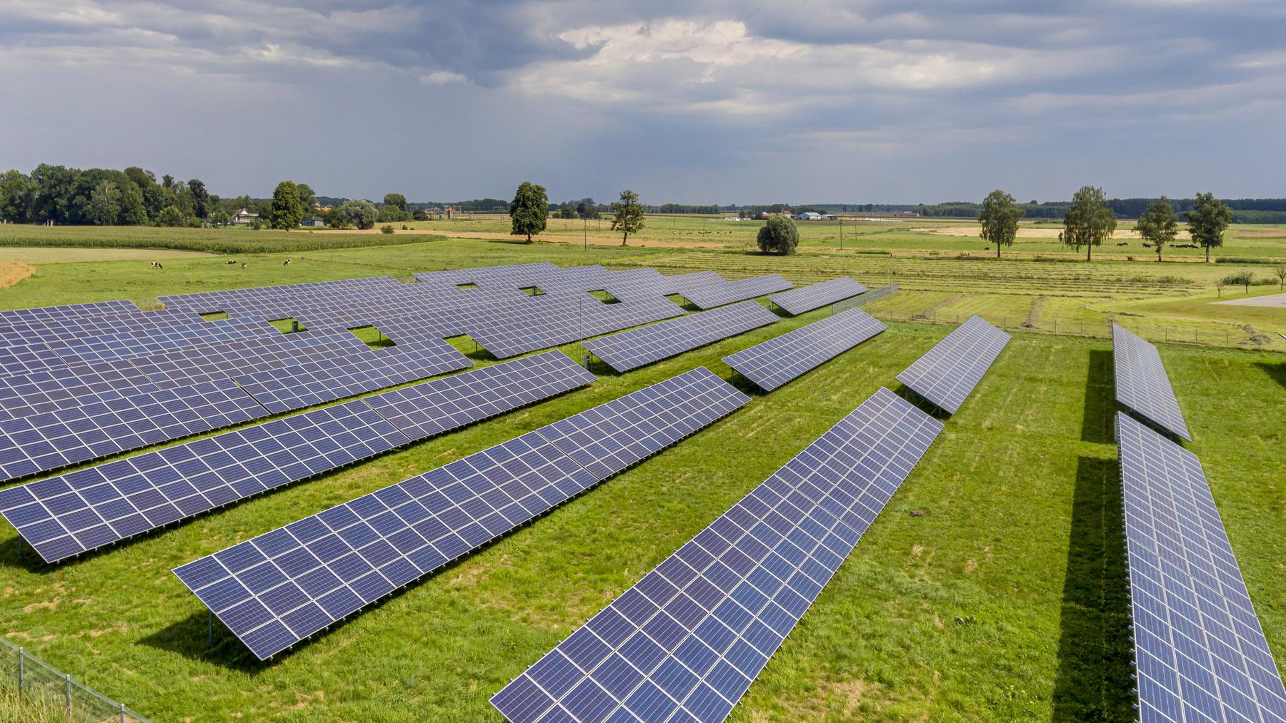 campo de placas solares