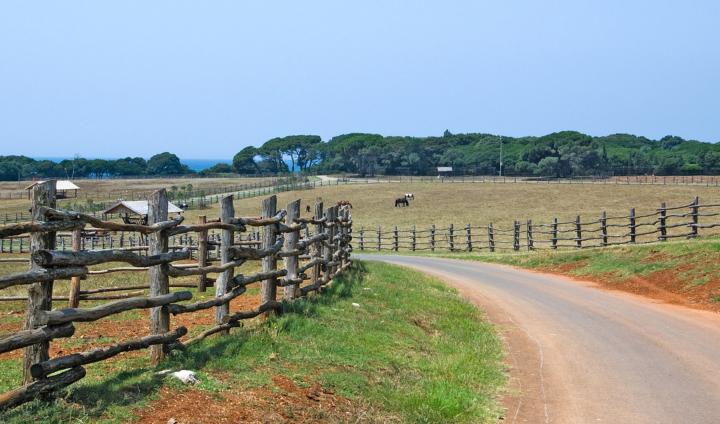 El objetivo de esta línea de ayudas es incrementar la rentabilidad de las explotaciones agrarias y preservar la sanidad del medio natural