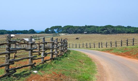 El objetivo de esta línea de ayudas es incrementar la rentabilidad de las explotaciones agrarias y preservar la sanidad del medio natural