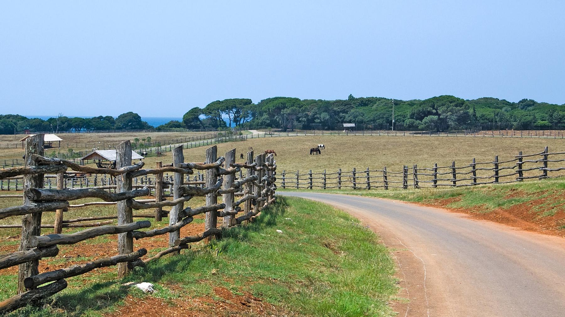 cercado ganaderia