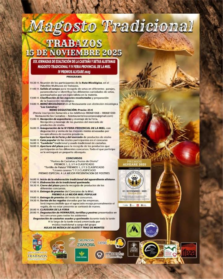 Cartel de las XIX Jornadas de Exaltación de la Castaña y Setas Alistanas