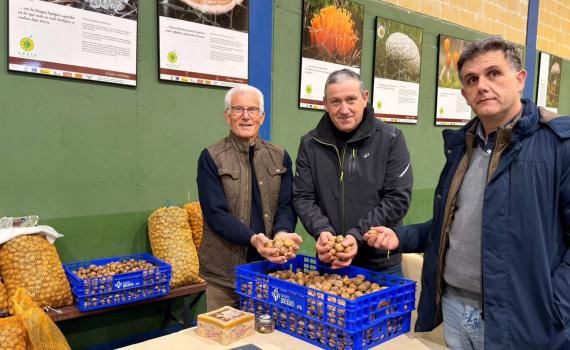 El acto sirvió de antesala a las XIX Jornadas de Exaltación de la Castaña y Setas Alistanas