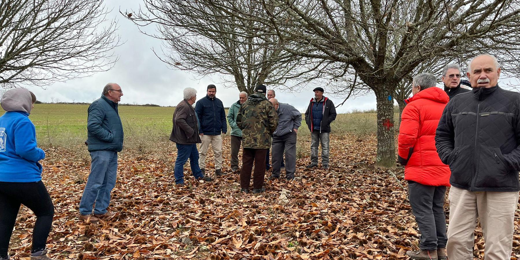 La Diputación de Zamora reafirma su compromiso con el sector del castaño, apostando por la formación, la innovación y la colaboración transfronteriza