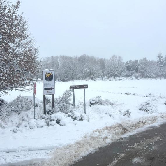 Centro del Lobo Ibérico en Robledo de Sanabria