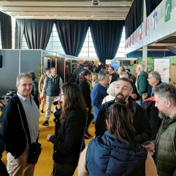 Se calcula un impacto económico en la provincia superior a los 2.000.000 de euros