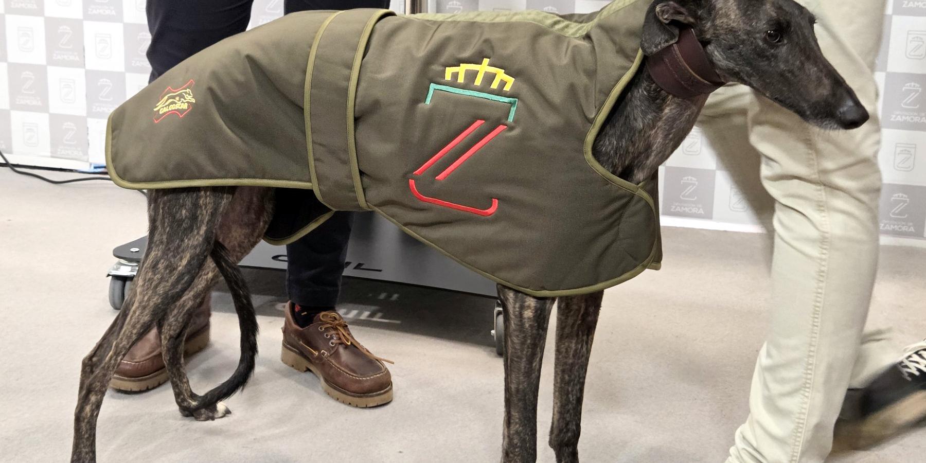 ‘Uva de El Verdejo’, la galga subcampeona de España