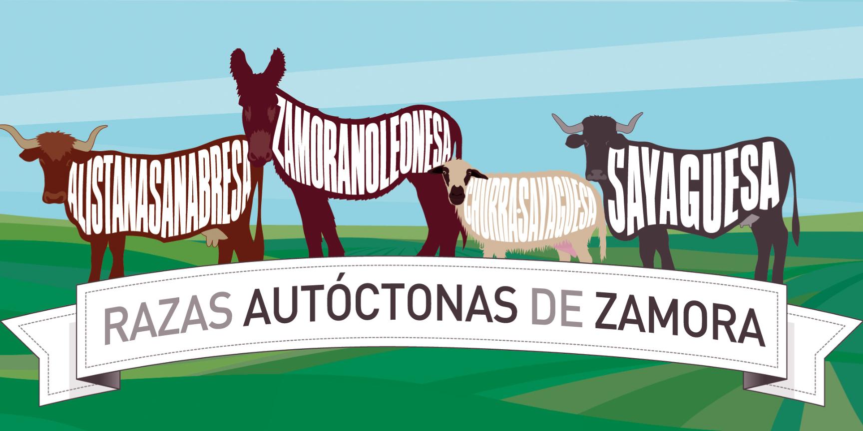 Estas ayudas tienen como objetivo apoyar la conservación, mejora y promoción de las razas ganaderas autóctonas.