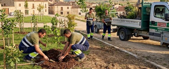 Subvenciones consistentes en plantas ornamentales procedentes del Vivero Provincial