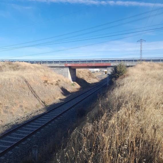 Estado actual del puente