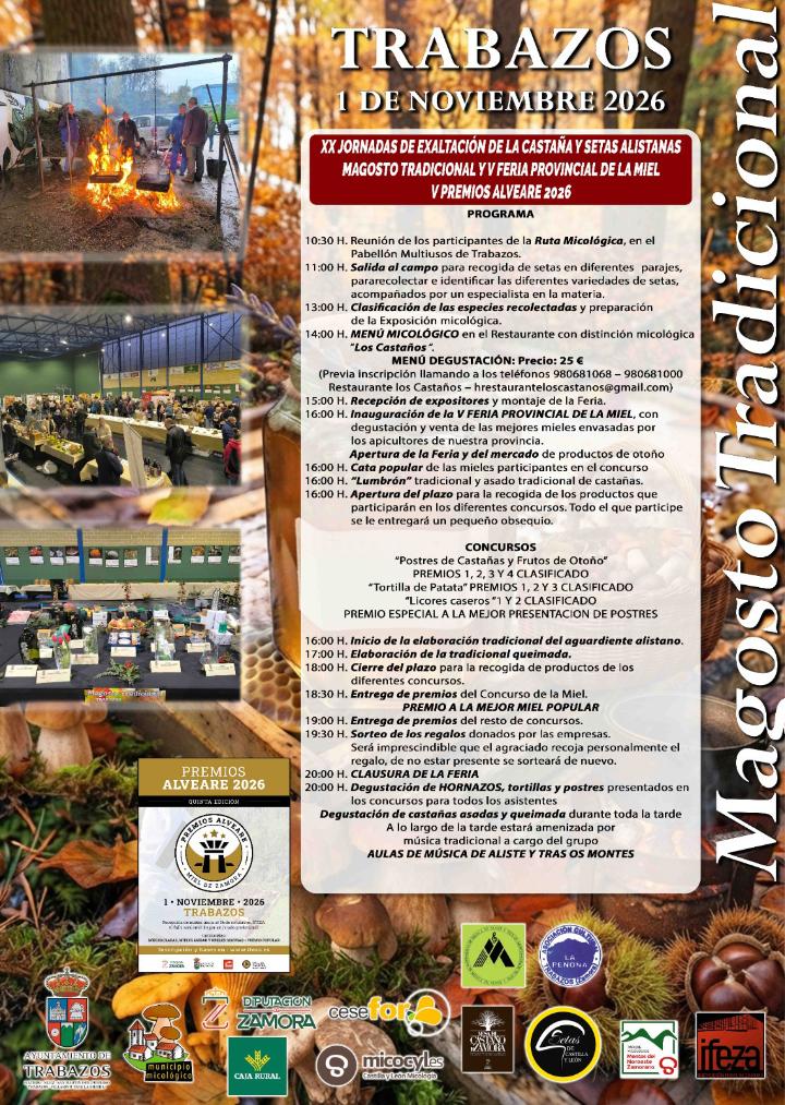 Cartel de todas las actividades